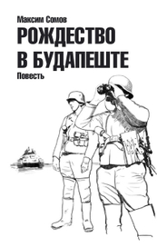 Рождество в Будапеште