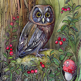 Совушки. Сычик в бруснике.