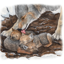 А.П.Чехов "Белолобый"