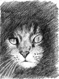 Идеальный незнакомец