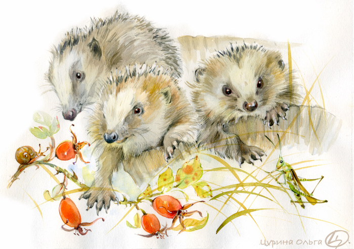 Ежата на прогулке