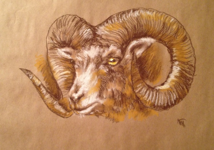 Глюпенький горный козлик