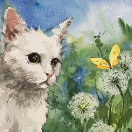 Любитель бабочек 