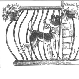 "Дневник фокса Микки". Саша Черный.