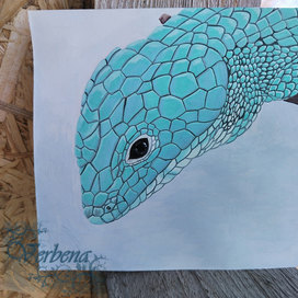 Древесная аброния