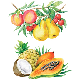 Иллюстрации. Фрукты