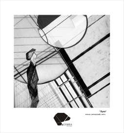 Работы рапидографом