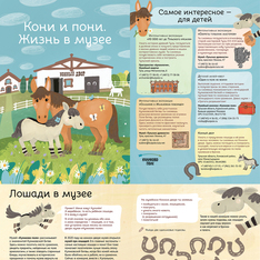 Кони и пони. Жизнь в музее