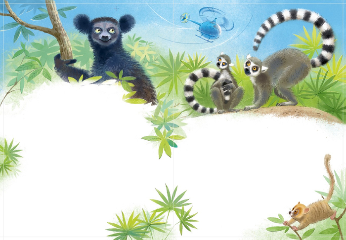 Лемуры Мадагаскара