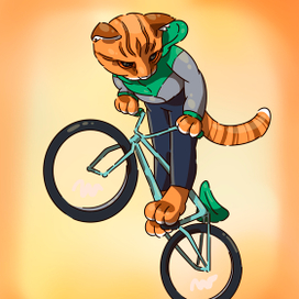 Кот на велосипеде