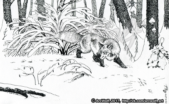 У мышиной норы