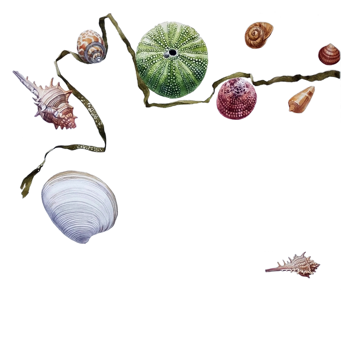 Дары моря. Сага. Часть 1