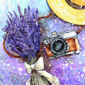 Любитель лаванды