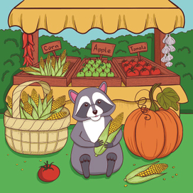 Довольный енот 