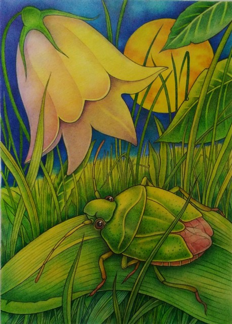 Полная луна