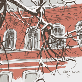 Снег на деревьях.