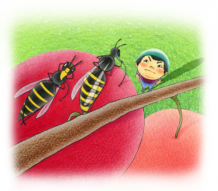 яблочный сок