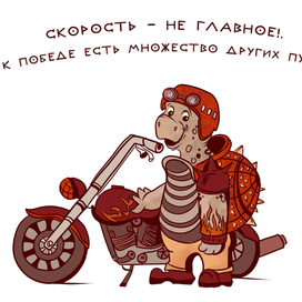 Скоростная черепаха