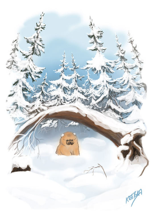 В зимнем лесу