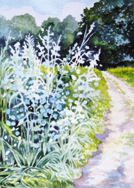 По дороге к липовой аллее