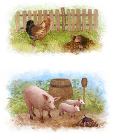 Не мое дело. Свинки, курица и крот