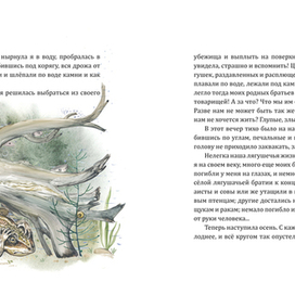 Лягушка-квакушка