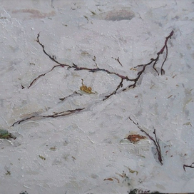 Веточка на мокром снегу 