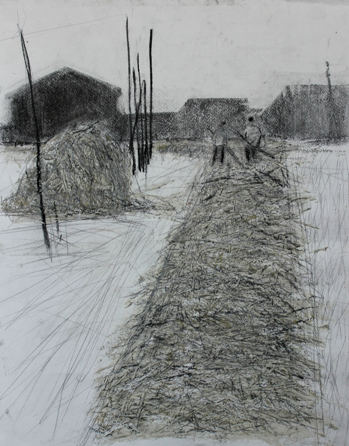 сено. в деревне