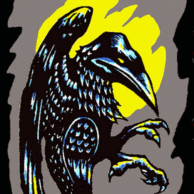 Ворон ночью