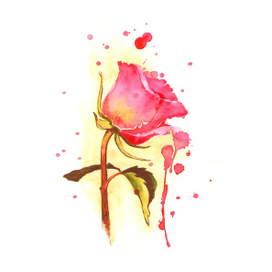 Сладкая роза