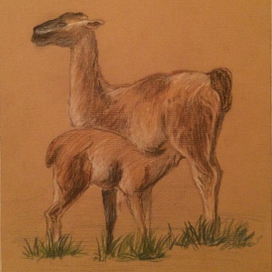 Иллюстрация для журнала