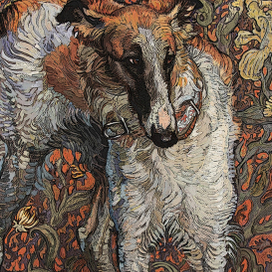 Русская псовая борзая Мечта 