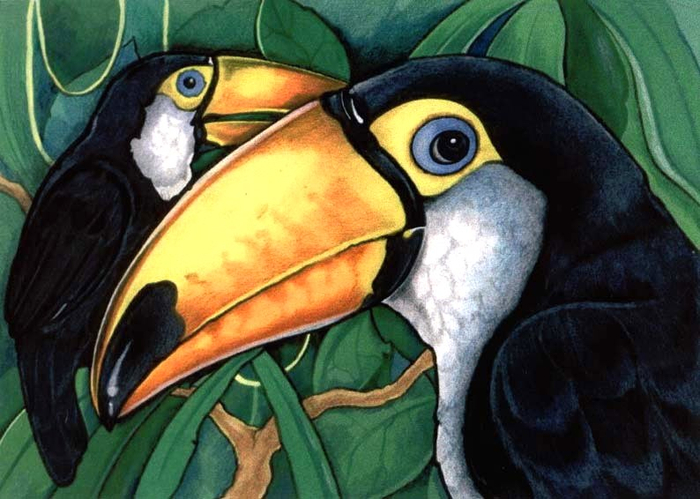 Туканы