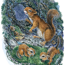 "Приключения двух бельчат" Яковлева И.Н.