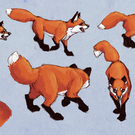 Наброски лисы