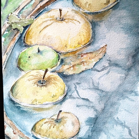 Антоновка, упавшая в бочку с водой