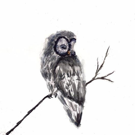 Мечтательная сова