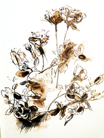 графика пером