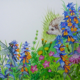 Лесная полянка. Ёжик