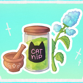 Стикеры "Кошачья ведьма"