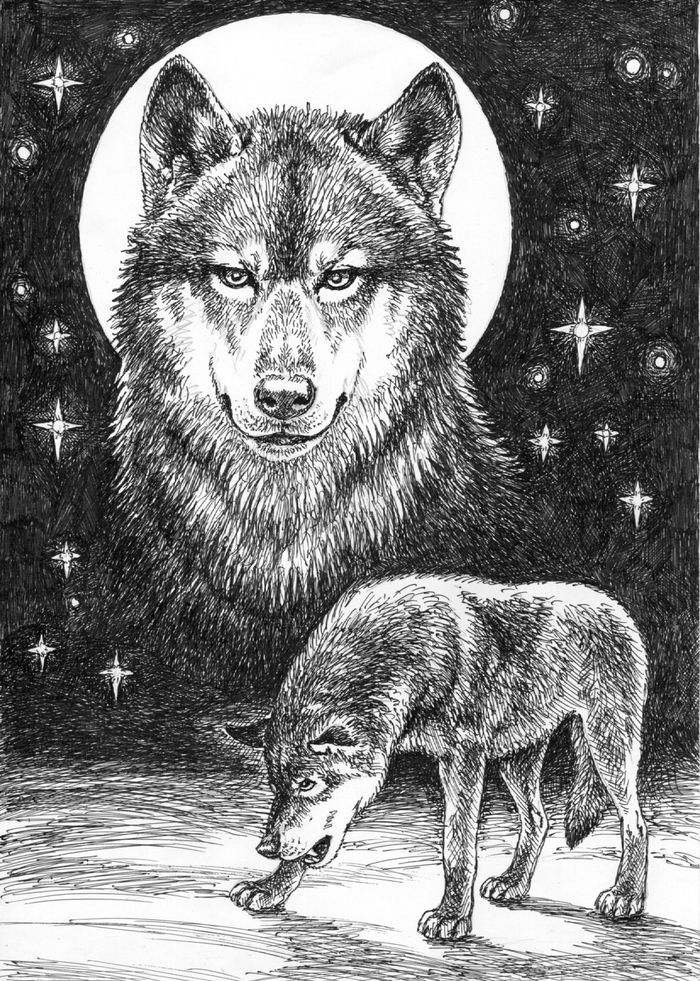 Я не предам