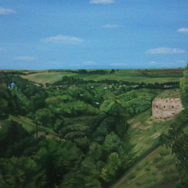 пейзаж с. Зиньков