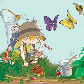 Юный энтомолог