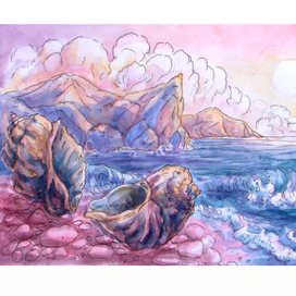 Разговор раковин