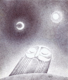 Живой камень