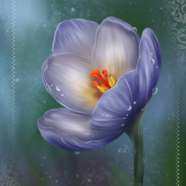 Весенний цветок