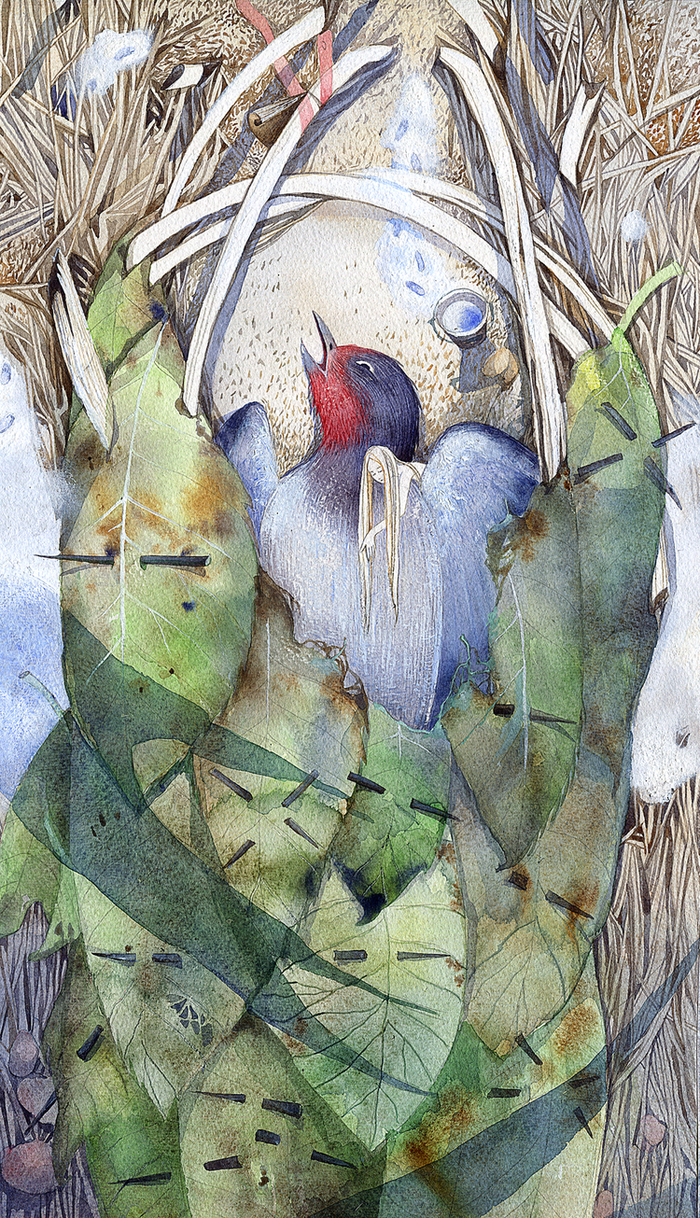 "Стань моей птицей"