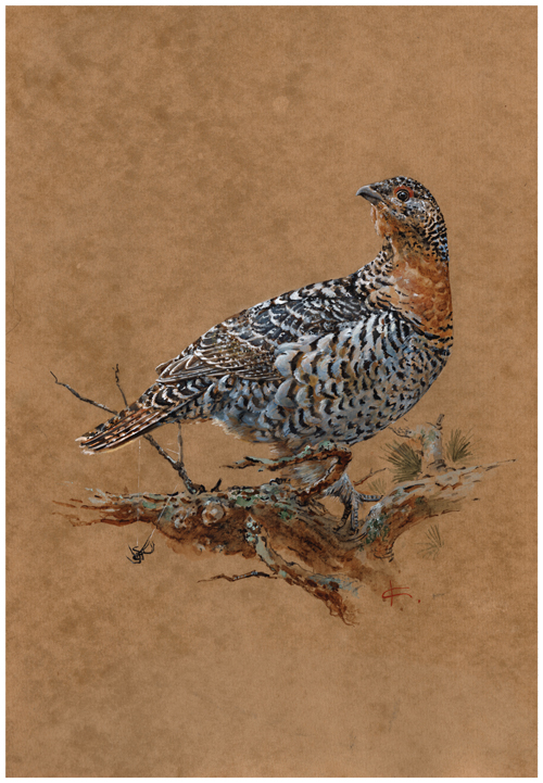 Жена Глухаря