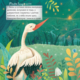 "Как  аист звездочку нашел"