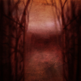 книга "Твари"